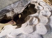 EHG3885_Stone_Quarry_Skye_8.jpg