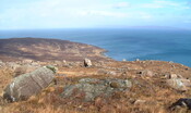 EHG3887_Rum007.JPG