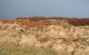 EHG3887_Rum-Site3d.JPG