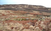 EHG3887_Rum-Site4a.JPG