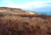 EHG3887_Rum-Site5a.JPG
