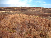 EHG3887_Rum-Site5b.JPG