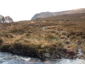 EHG3887_Rum-Site6a.JPG