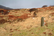 EHG3887_Rum-Site8b.JPG