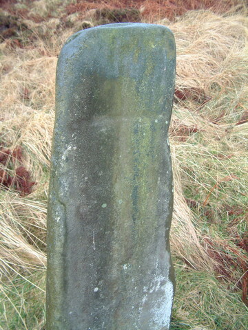 EHG3887_Rum-Site8i.JPG