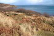 EHG3887_Rum-Site9a.JPG