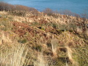 EHG3887_Rum-Site9c.JPG