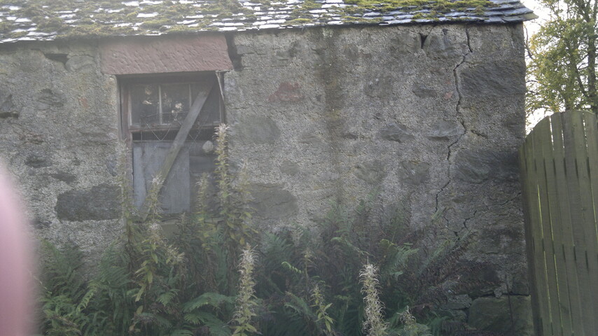 EHG3910_image_13.jpg