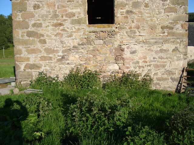 EHG3915_image_14.JPG EHG3915_image_14.JPG