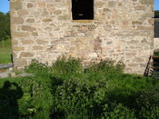 Click on the thumbnail to see a larger version EHG3915_image_14.JPG