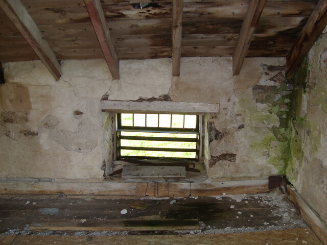 EHG3915_image_17.JPG EHG3915_image_17.JPG