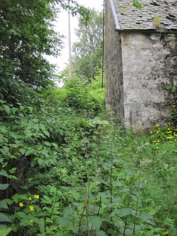 EHG3916_image_02.JPG
