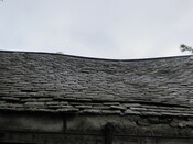 EHG3916_image_03.JPG