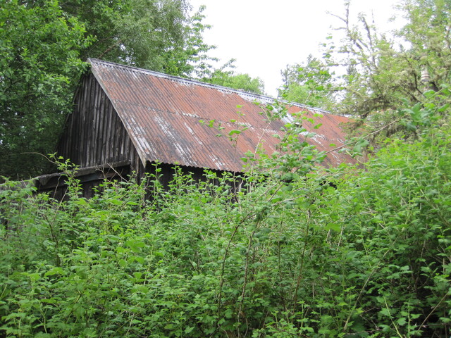 EHG3916_image_24.JPG