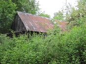 EHG3916_image_24.JPG