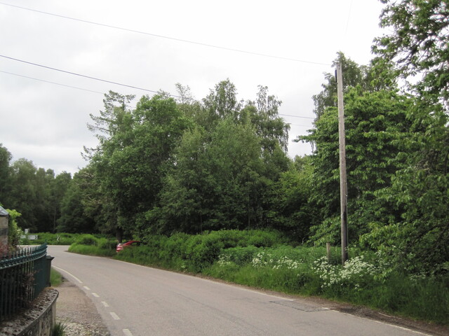 EHG3916_image_38.JPG