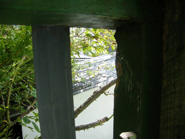 EHG3920_images_EXT_61.jpg