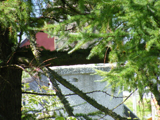 EHG3920_images_EXT_72.jpg