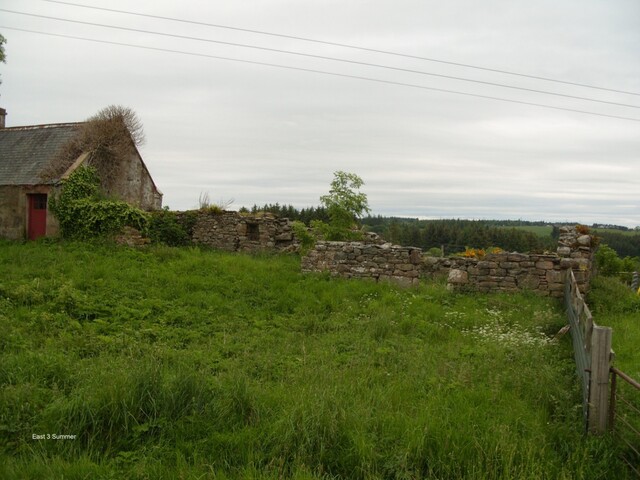 EHG3923_image_03.jpg