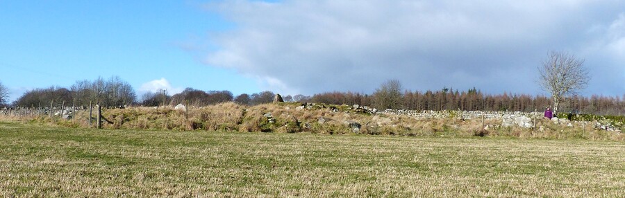 MHG 9014 Carn Glas, February 2014 (1).JPG