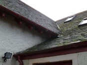 EHG3948_images_EX_08.jpg