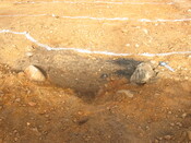 IMG_1263.JPG