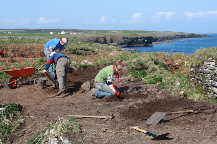MHG1593_2011_Season_1_Excavations_4.JPG