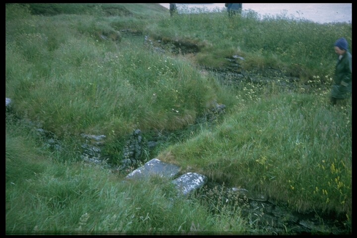 1385.jpg