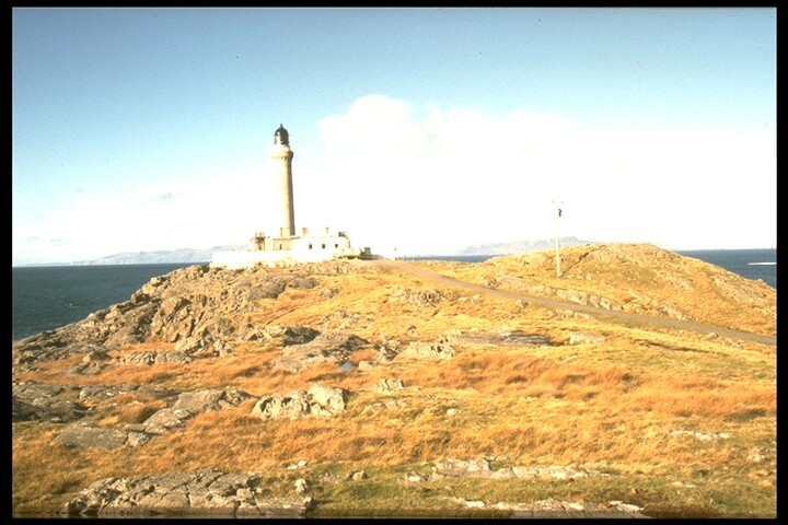 419.jpg
