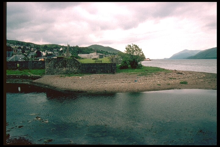 445.jpg