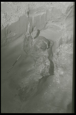 675.jpg