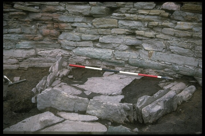 679.jpg