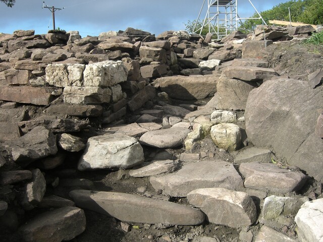 EHG3006_CIMG0001.JPG