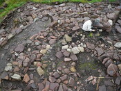 EHG3006_P1010873.JPG