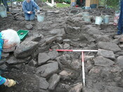 EHG3319_CD56.JPG