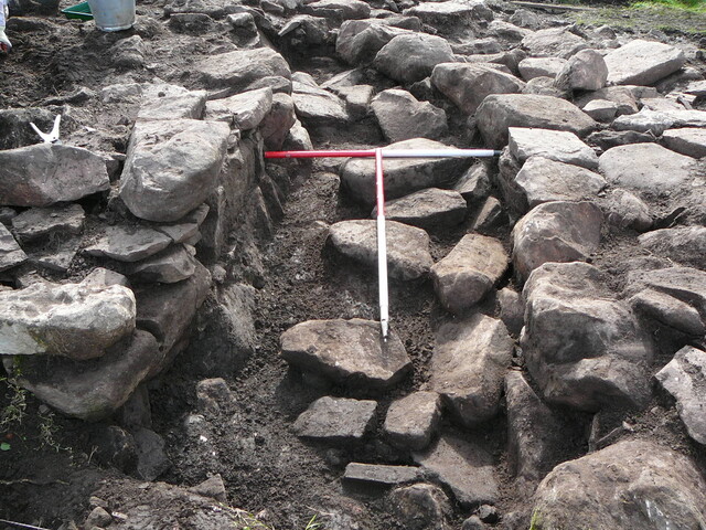 EHG3319_CD60.JPG