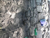 EHG3319_CD77.JPG