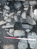 EHG3319_CD99.JPG