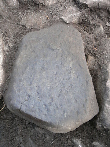 EHG3319_CD113.JPG
