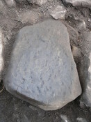 EHG3319_CD113.JPG