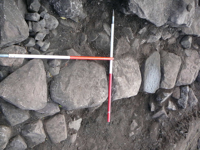 EHG3319_CD115.JPG