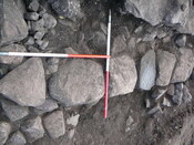 EHG3319_CD115.JPG