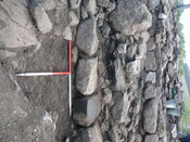 EHG3319_CD117.JPG