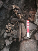 EHG3319_CD132.JPG