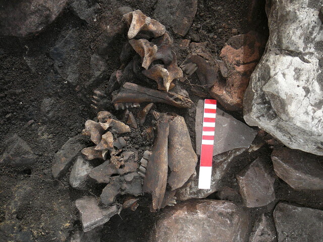 EHG3319_CD134.JPG