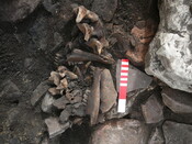 EHG3319_CD134.JPG