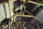 EHG3966_Photo 5-Byre roof space.jpg