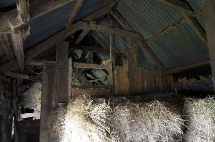 EHG3966_Photo 8-Byre straw interior.jpg