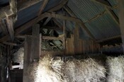 EHG3966_Photo 8-Byre straw interior.jpg