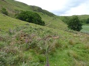 MHG56581_559622.01_a.jpg